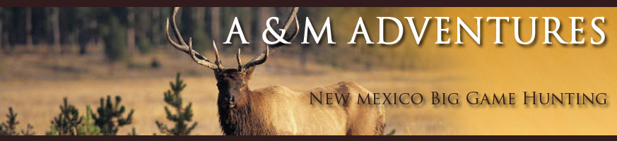 A & M Adventures, New Mexico Big Game Hunting