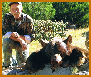 black bear