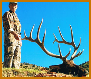 Elk Hunting