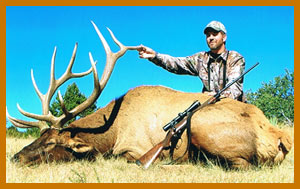 elk hunts