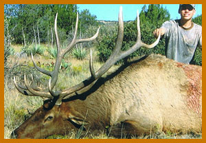 elk hunts