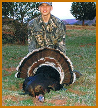 turkey