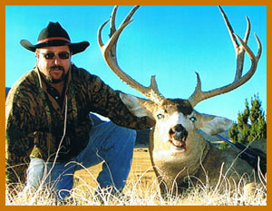 Mule Deer