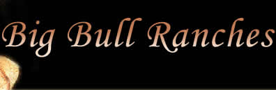 Big Bull Ranches, Trophy Elk hunting