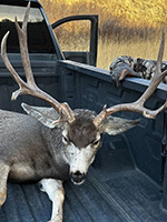 2025-13-deer